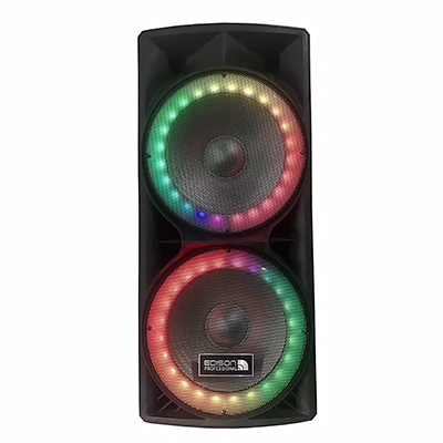 Professional Dual 15" Party System 0