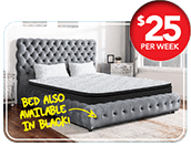 Queen Bed and Mattress