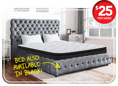 Queen Bed and Mattress