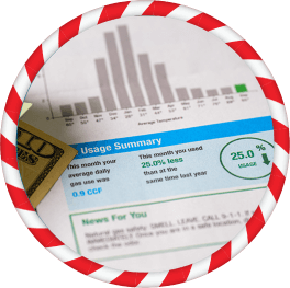 Electric Bill <br> (up to $100)